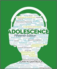 Image of Adolescence