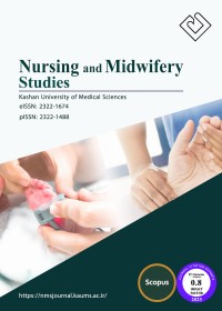 Image of Nursing and Midwifery Studies : Issue 3 Volume 13 2024